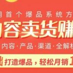 内容卖货赚钱：0基础打造卖爆品，每月轻松躺赚10W+【完结】