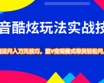 抖音酷炫玩法实战技巧，小白搬运月入万元技巧，蓝V变现模式带货轻松月入10W