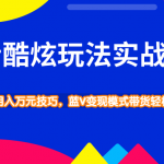 抖音酷炫玩法实战技巧，小白搬运月入万元技巧，蓝V变现模式带货轻松月入10W