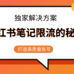 小红书笔记限流的秘密，被限流的笔记独家解决方案，打造高质量账号（共3节视频）