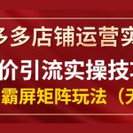 拼多多店铺运营实操，低价引流实操技巧，拼多多霸屏矩阵玩法（无水印）