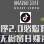 树敌研习社6月抖音赚钱课程：抖音小程序2.0必爆套路零粉无橱窗日赚百元玩法