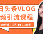 今日头条VLOG视频引流课程：每天30分钟，日引10-1000粉（完结）