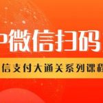 微信扫码支付系列课，支付接口接入必备技术，实现在线自动化收款（5节课）