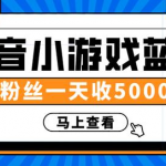 赚钱计划：抖音小游戏蓝海项目，无粉丝一天收入5000+