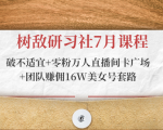 树敌研习社入门课程：破不适宜+零粉万人直播间卡广场+团队赚佣16W美女号套路