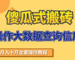 搬砖操作大数据查询信用项目赚钱教程，祝你快速月入6万