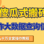 搬砖操作大数据查询信用项目赚钱教程，祝你快速月入6万