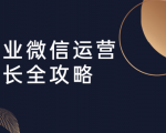 企业微信运营增长全攻略：引流+裂变+运营+成交（16节体系课）