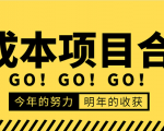 低成本零成本项目合集：赚钱快的慢的、暴利的，线上线下的，价值万元资料