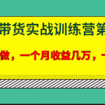 宅男·知乎带货实战训练营第4期：批量去做，一个月收益几万 十几万