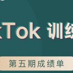 TikTok第五期训练营结营，带你玩赚TikTok，40天变现22万美