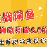 实战闲鱼被动引流6.0技术，坐等粉丝来找你，打造赚钱的ip(16节课+话术指导)