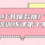 小红书爆款推广引流训练课第十期，手把手带你玩转小红书，轻松月入过万