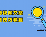 抖音视频文案运营技巧教程：注册-养号-发作品-涨粉方法（10节视频课）