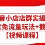 大海抖音小店店群实操课：猜你喜欢免流量玩法+截流 2.0