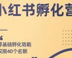 勇哥小红书撸金快速起量项目：教你如何快速起号获得曝光，做到月躺赚在 3000+