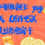 国外网赚项目：Paypal 拉新，10 分钟 5 美刀，赶快通宵干【视频课程】