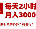 搜外网·拼多多副业课程，每天2小时月入3000元 学习这门课程真的能赚钱