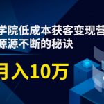 素宣成长学院低成本获客变现营，教你流量源源不断的秘诀，轻松月入10万