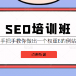 SEO培训班课程，手把手教你做出一个权重6的例站，价值8000元