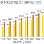 蓝海项目拼多多视频带货课，2022年入百万新风口【视频教程+软件】