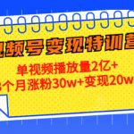 视频号变现21天特训营：3个月涨粉30w+单视频播放量2亿+变现20w+