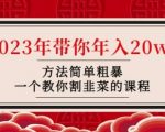 韭菜-联盟·2023年带你年入20w+方法简单粗暴，一个教你割韭菜的课程