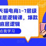 大圣淘宝天猫电商1-7层级盈利增长底层逻辑课，爆款的底层逻辑</title>