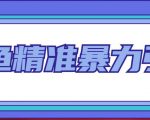 “闲鱼精准暴力引流全系列课程，每天被动精准引流100+粉丝”