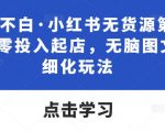 “绅白不白·小红书无货源第五版，零投入起店，无脑图文精细化玩法