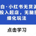 “绅白不白·小红书无货源第五版，零投入起店，无脑图文精细化玩法