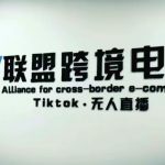 YS联盟·Tiktok无人直播，不出镜不剪辑不拍摄不发货无售后的跨境短视频躺赚玩法