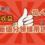 2023新细分领域带货计划：单号单日1000+收益不难，每人可操作3-5个账