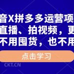 高鹏·抖音X拼多多运营项目，不需要出镜、直播、拍视频，不需要花钱推广，不用囤货，不用自己发货