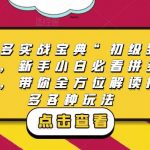 拼多多实战宝典“初级到高手”，新手小白必看拼多多课程，带你全方位解读拼多多各种玩法