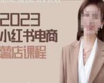 2023小红书电商课，新手小白从0~1玩转小红书薯店电商