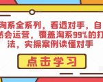 淘系全系列，看透对手，自然会运营，覆盖淘系99%的打法，实操案例读懂对手