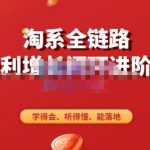 淘系全链路盈利增长闭环进阶营，融合全店动销，学得会、听得懂、能落地