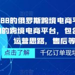 外面卖3888的俄罗斯跨境电商平台ozon运营，当下红利期的跨境电商平台，包含店铺申请，运营思路，售后等