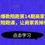 小红书爆款陪跑第14期商家版，21天带货陪跑课，让商家丢掉付流量