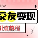 微信交友变现项目，吸引全网LSP男粉精准变现，小白也能轻松上手，日入500+