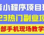 抖音小程序9.0新技巧，2023热门副业项目，动动手指轻松变现