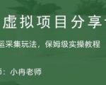 淘宝虚拟整店搬运采集玩法分享课：整店搬运采集玩法，保姆级实操教程