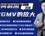 如何利用付费流量GMV的放大，微付费、纯付费的实操型打法