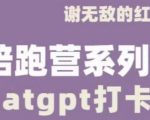 ChatGPT打卡营，教你更好地使用ChatGPT来提高工作效率