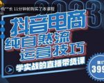 2023自然流运营技巧，纯自然流不亏品起盘直播间，实战直播带货课（视频课+话术文档）