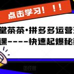 牛气学堂茶茶•拼多多运营玩法系列课—-快速起爆秘籍