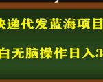 2023最新蓝海快递代发项目，小白零成本照抄也能日入300+”