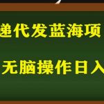 2023最新蓝海快递代发项目，小白零成本照抄也能日入300+”